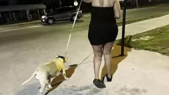 Abspielen Betrügende MILF wird beim Ficken mit einem großen schwarzen Schwanz erwischt